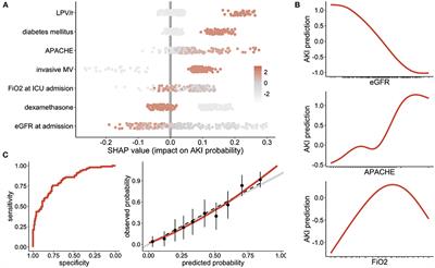 Unsupervised clustering reveals phenotypes of AKI in ICU COVID-19 patients